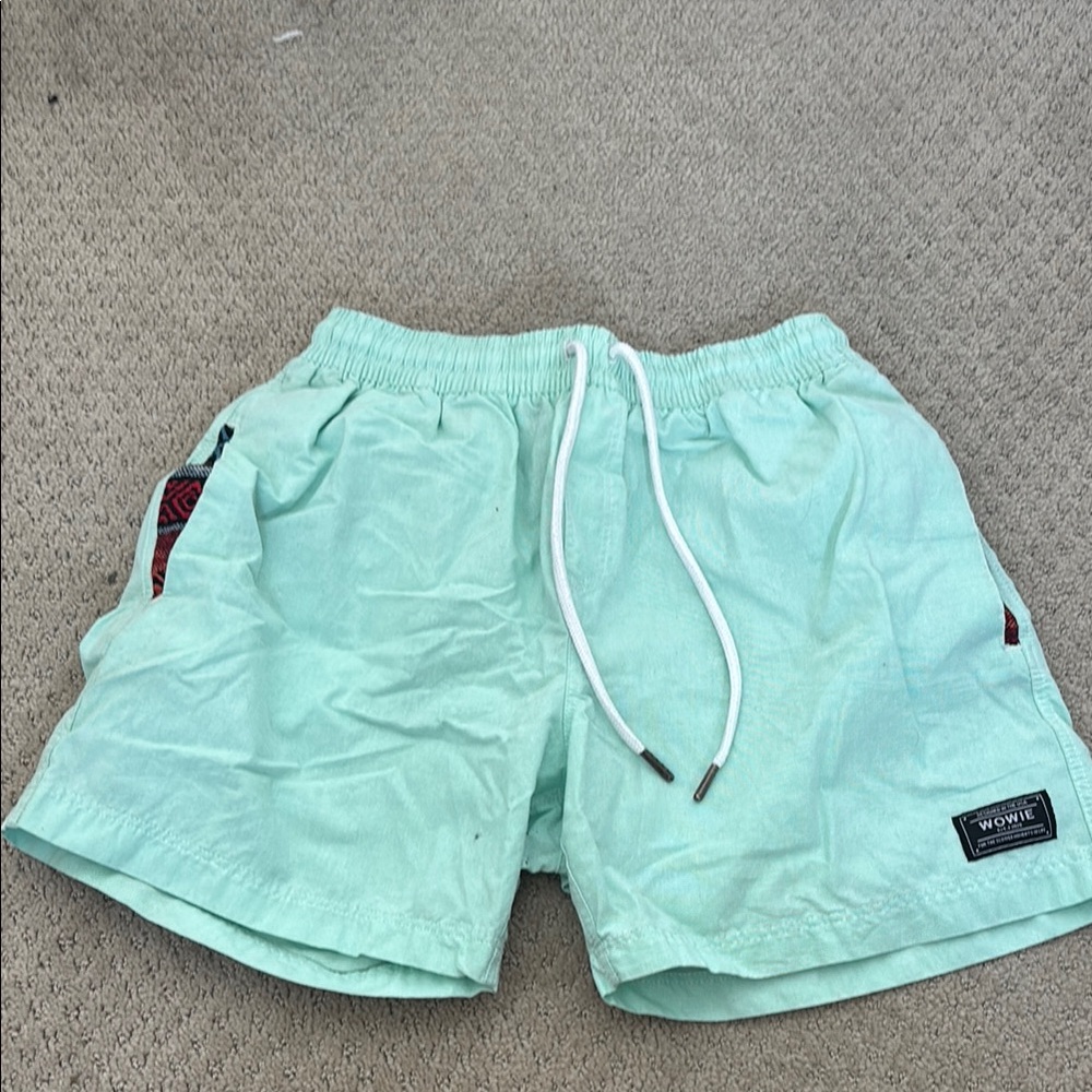 Wowie 5 Inch Inseam Mint Green Shorts